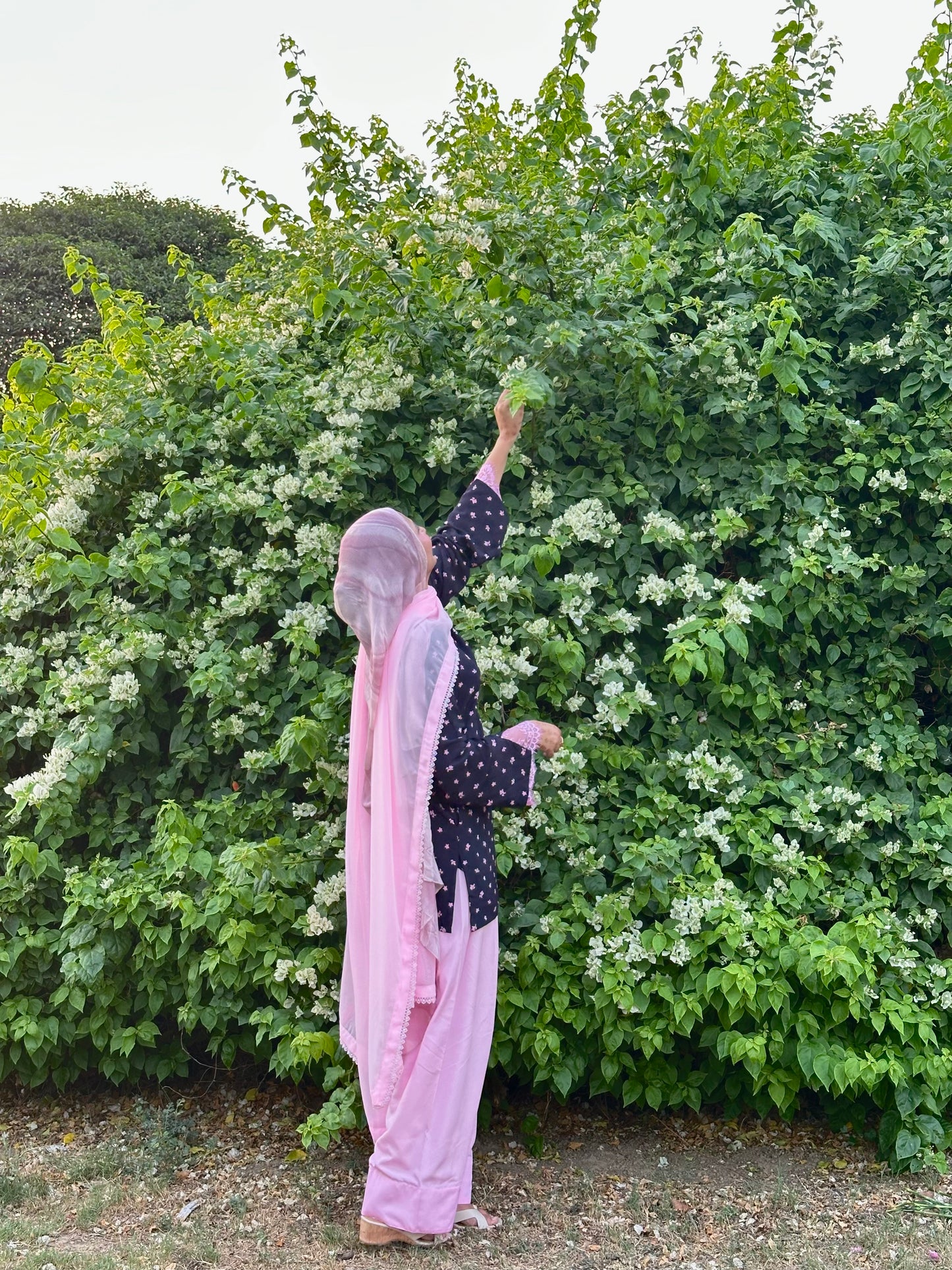 Dark Blue & Pink 3 PC Set