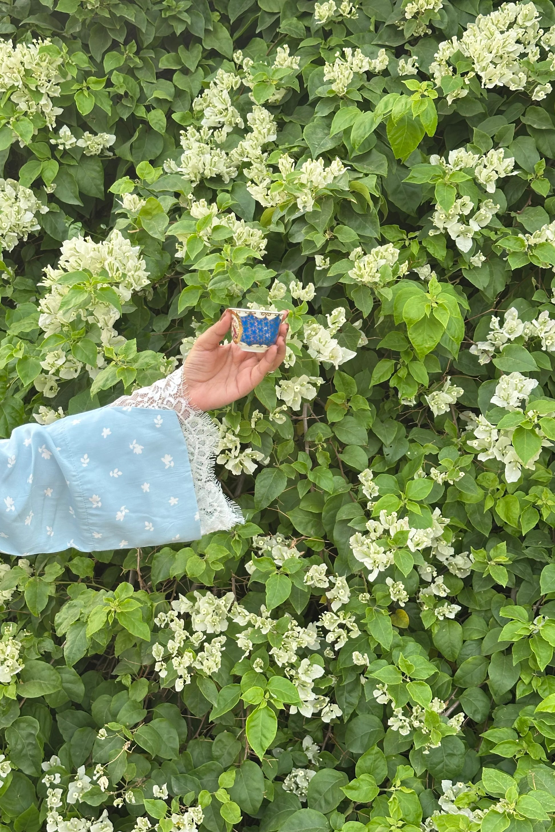 A light blue sleeve with white floral embroidery and lace trim holds a small blue and white patterned cup against a background of green leaves and white flowers.